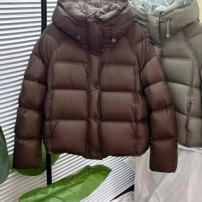 Herr Dunjacka Vinter Puffer Kort Varm och Trendig