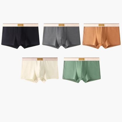 Herr Boxershorts 5-pack – Modern Passform och Optimal Komfort för Vardagsbruk